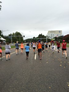 Around mile 10 the course met back on to the mail road/highway and we made our way back past the aquarium,