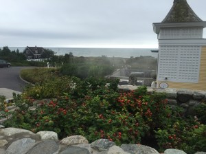 Photo courtesy of Katelyn