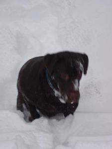 168_1003189843170_1564_n_2